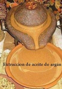Extracción aceite de Argán
